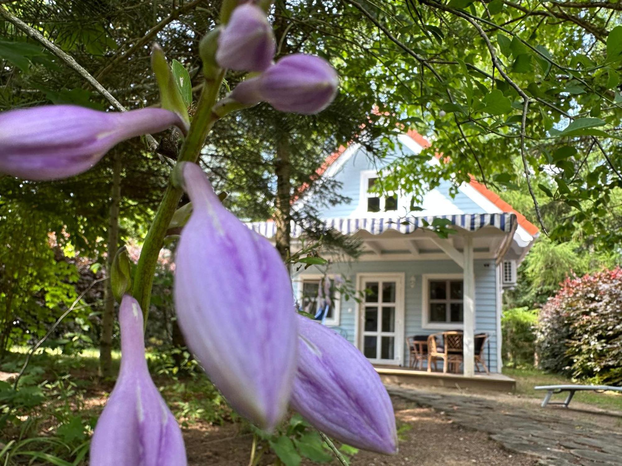 Ferienwohnung Kwiat Paproci Ryn  Exterior foto